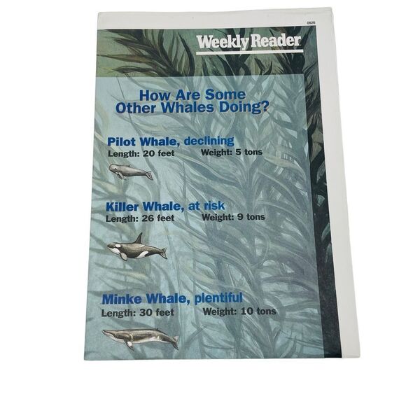 Vintage Weekly Reader Summer Superskills Reading Kit - Picture 9 of 16